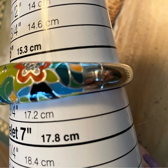 Belle Etoile Perroquet Parrot Sterling Silver Enamel Hinged Bangle Bracelet - Picture 4 of 11